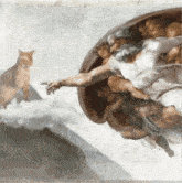 Creation Of Cat GIF - Creation Of Cat GIFs