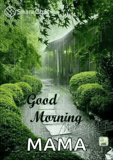 a good morning mama greeting card with a picture of a garden in the rain