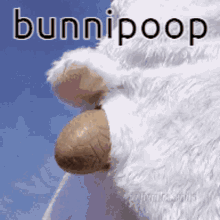 Bunnipoop GIF - Bunnipoop GIFs