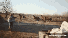Horses Running GIF - Horses Running Animal GIFs