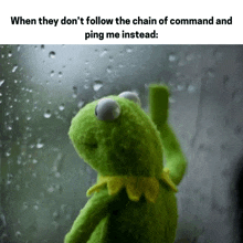 kermit the frog is looking out a window with rain drops