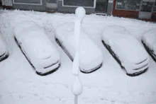 Blizzard Snow GIF - Blizzard Snow GIFs
