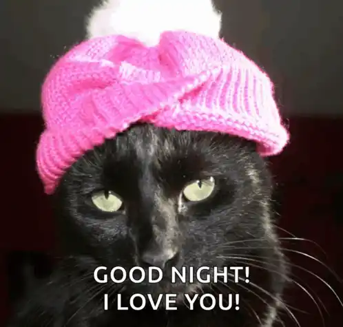 Cat Pink Hat GIF - Cat Pink Hat Black Cat GIFs