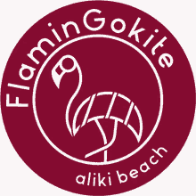 Flamingokite Aliki Beach GIF - Flamingokite Aliki Beach Keros Beach GIFs