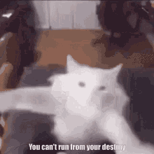 You Cant Run From Your Destiny GIF - You Cant Run From Your Destiny GIFs