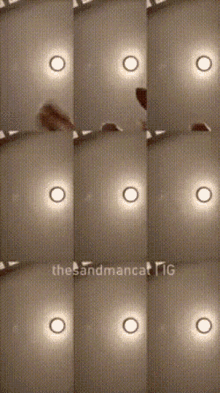 Sandman Cat GIF - Sandman Cat GIFs