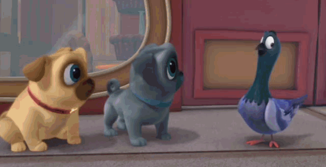 Puppy Dog Pals Rolly GIF - Puppy Dog Pals Rolly Bingo - Discover & Share  GIFs