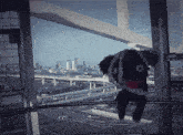 a stuffed animal with the letter o on its face is hanging from a ferris wheel