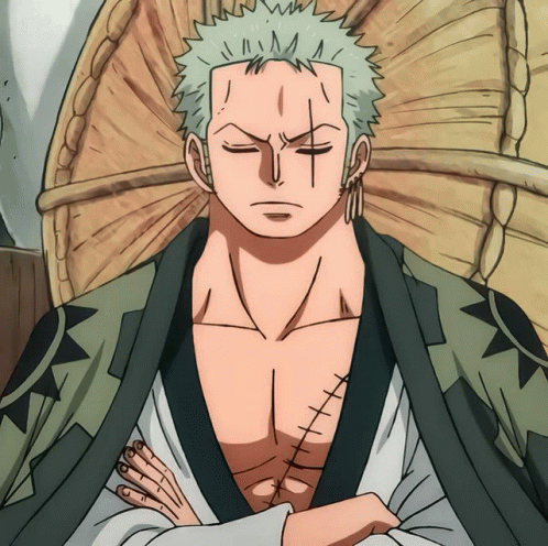 One Piece: Does Zoro have a love interest?