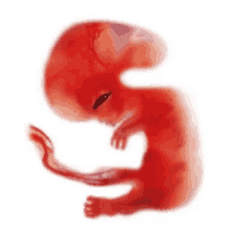 unborn alien
