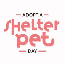 Adopt A Shelter Pet Shelter Pets GIF