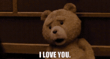 ted i love you ted movie ted the bear teddy bear