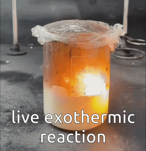 Reaction Live Reaction GIF - Reaction Live Reaction Exothermic - Discover &  Share GIFs