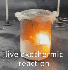Reaction Live Reaction GIF - Reaction Live Reaction Exothermic GIFs