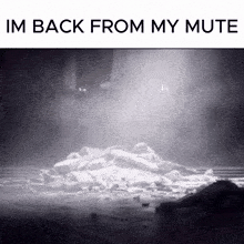 a black and white photo with the words im back from my mute on the bottom