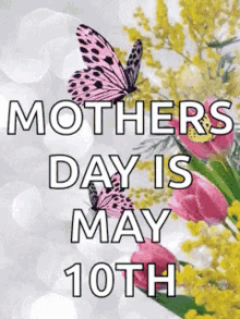 Butterfly Pink Flowers GIF - Butterfly Pink Flowers Yellow Flowers GIFs
