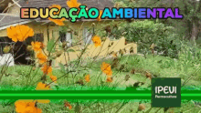 Ipevi Educacaoambiental GIF - Ipevi Educacaoambiental Ambiental GIFs