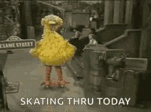Big Bird Sesame Street GIF - Big Bird Sesame Street GIFs