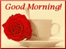 Coffee Rose GIF - Coffee Rose Good Morning GIFs
