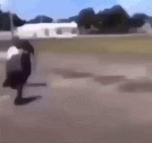 Guy Running Black Guy Running GIF
