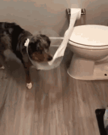 Pulling Toilet Tissue Paper Pulling GIF - Pulling Toilet Tissue Paper Pulling Dog GIFs