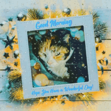 Good Morning Have A Great Day GIF - Good Morning Have A Great Day Snow GIFs