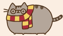 Cat Harry Potter GIF - Cat Harry Potter GIFs