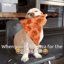 pizza for the first time yahir14 pizza dog funny
