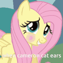 Cameron Cameron Cat GIF - Cameron Cameron Cat Mlp GIFs