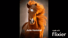 Jude Hommel GIF - Jude Hommel Jude Hommel GIFs