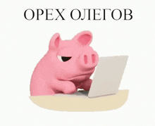 a pink pig is sitting at a table using a laptop computer with the words opex olegov above it