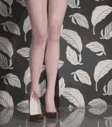 美女 大长腿 美腿 GIF - Beauty Long Legs Sexy Legs GIFs