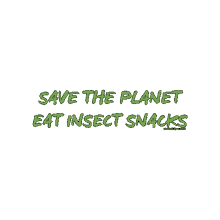 insectsnack food