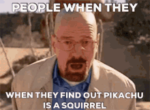 pikachu is a squirrel