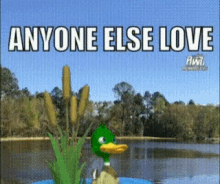 olden hoses the site thefacebooksite duck love
