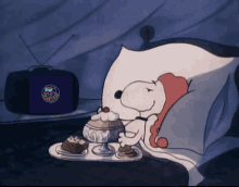 Snoopy Aksel GIF - Snoopy Aksel Hoover GIFs