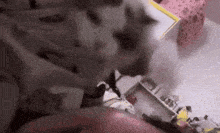 a cat is laying on top of a pink blanket in a bedroom .
