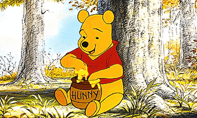 Honey Pot Peek-a-boo Winnie The Pooh Bear and Stencil