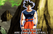 gender equality punch goku these hands are gender neutral