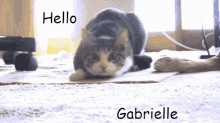 Hello Gabrielle GIF - Hello Gabrielle GIFs