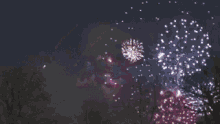 Dick Fireworks GIF