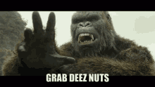 King Kong Deez Nuts GIF - King Kong Deez Nuts Meme GIFs