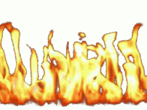 Fire Clear Background Sticker - Fire Clear Background Animation - Discover  & Share GIFs
