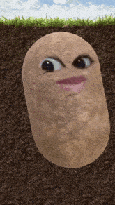 a potato with a face sticking out of the dirt