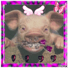 Cochon Love GIF - Cochon Love Cochon Moche GIFs