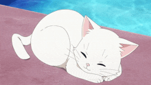 Cat Love Live GIF - Cat Love Live Anime GIFs