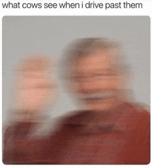 a blurry picture of a man with the caption `` what cows see when i drive past them ''