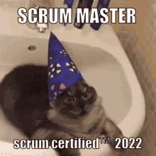 Scrum Master GIF - Scrum Master Scrum Master GIFs