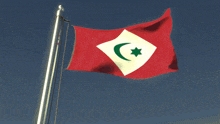 a red and white flag with a green star and a crescent moon on it