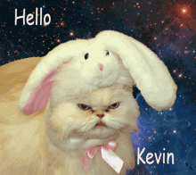 Hello Kevin GIF - Hello Kevin GIFs